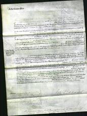 Court of Common Pleas - Matilda Allen-Original Ancestry