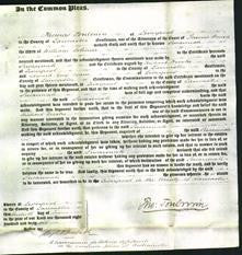 Court of Common Pleas - Susannah Lotimer-Original Ancestry