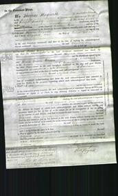 Court of Common Pleas - Elizabeth Ann Elliott-Original Ancestry