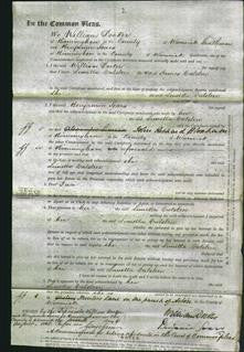 Court of Common Pleas - Lunetta Catstree-Original Ancestry