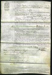 Court of Common Pleas - Mary Ann Poole-Original Ancestry