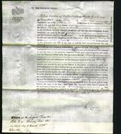 Court of Common Pleas - Emily Curtis-Original Ancestry