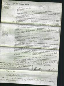 Court of Common Pleas - Jane Rogers-Original Ancestry