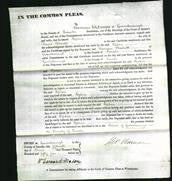 Court of Common Pleas - Sophia Askwith-Original Ancestry