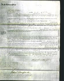 Court of Common Pleas - Mary Sheppard-Original Ancestry