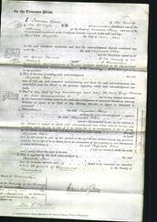 Court of Common Pleas - Elizabeth Peters-Original Ancestry