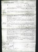 Court of Common Pleas - Catherine Davies-Original Ancestry