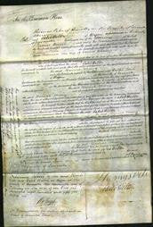 Court of Common Pleas - Hannah Whalley-Original Ancestry