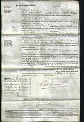 Court of Common Pleas - Emily Abraham-Original Ancestry