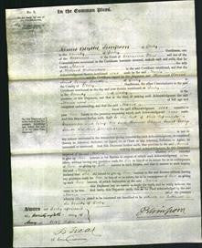 Court of Common Pleas - Maria Richardson-Original Ancestry