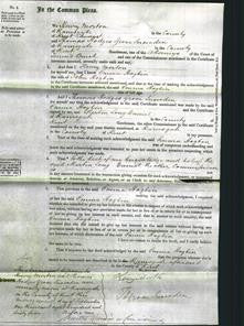 Court of Common Pleas - Emma Hogbin-Original Ancestry