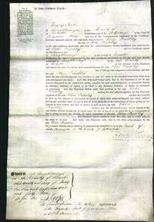 Court of Common Pleas - Eliza Priestley-Original Ancestry