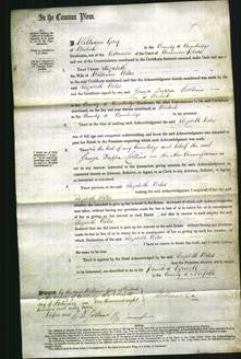 Court of Common Pleas - Elizabeth Wiles #3-Original Ancestry