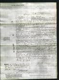 Court of Common Pleas - Jane Susan Robinson, Sophia Purkis-Original Ancestry