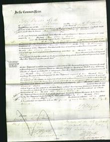 Court of Common Pleas - Ann Frances Pullen-Original Ancestry