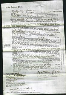 Court of Common Pleas - Sarah Welch, Ann Grant, Edith Grant-Original Ancestry