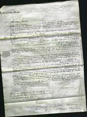 Court of Common Pleas - Ann Smooker-Original Ancestry