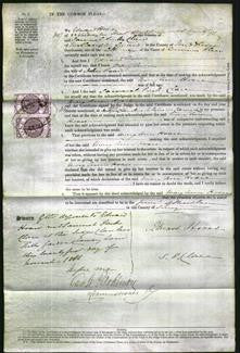 Court of Common Pleas - Mary Ann Hoare-Original Ancestry