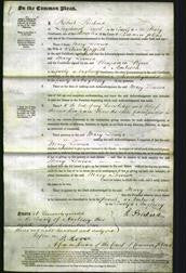 Court of Common Pleas - Mary Louisa Griffith-Original Ancestry