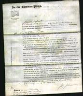 Court of Common Pleas - Matilda Smellie-Original Ancestry