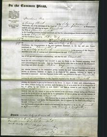 Court of Common Pleas - Elizabeth Cubitt-Original Ancestry