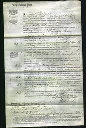 Court of Common Pleas - Mary Louisa Griffith and Jane Jones-Original Ancestry