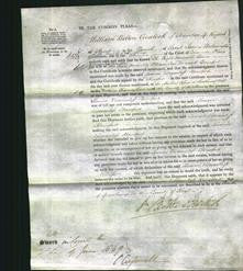 Court of Common Pleas - Louisa Viscountess Beresford-Original Ancestry