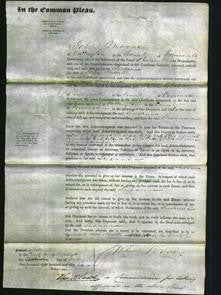 Court of Common Pleas - Susanna Martin-Original Ancestry