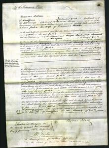Court of Common Pleas - Julia Butler-Original Ancestry