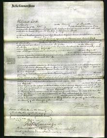 Court of Common Pleas - Elizabeth Lloyd-Original Ancestry