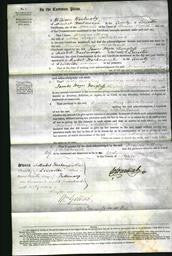 Court of Common Pleas - Frances Mary Hildebrand-Original Ancestry