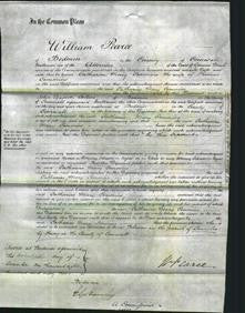 Court of Common Pleas - Catharine Mary Commins-Original Ancestry