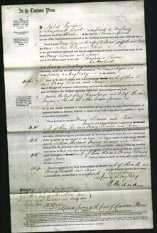 Court of Common Pleas - Mary Louisa Griffith, Jane Jones-Original Ancestry