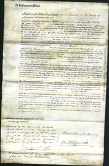 Court of Common Pleas - Sarah Vallis-Original Ancestry