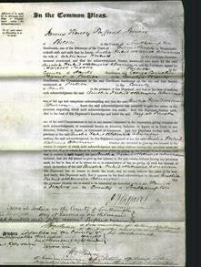 Court of Common Pleas - Amelia Friend-Original Ancestry