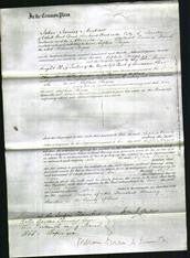 Court of Common Pleas - Sophia Rogers-Original Ancestry