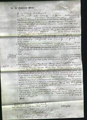 Court of Common Pleas - Mary Ann Wingfield, Emma Biggin and Ida Hibbert-Original Ancestry