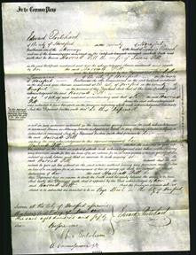 Court of Common Pleas - Harriett Pitt-Original Ancestry