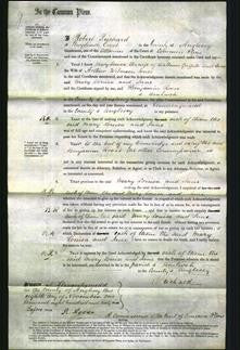 Court of Common Pleas - Mary Louisa Griffith, Jane Jones-Original Ancestry