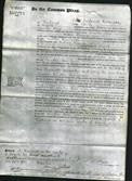 Court of Common Pleas - Martha Ann Cooper-Original Ancestry