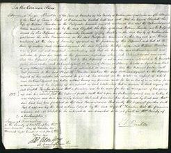 Court of Common Pleas - Elizabeth Thornton-Original Ancestry