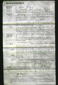 Court of Common Pleas - Mary Louisa Griffith, Jane Jones-Original Ancestry