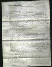 Court of Common Pleas - Sarah Anne Newton-Original Ancestry