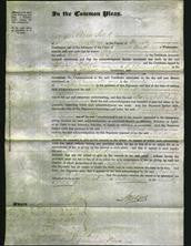 Court of Common Pleas - Maria Milliecliass-Original Ancestry