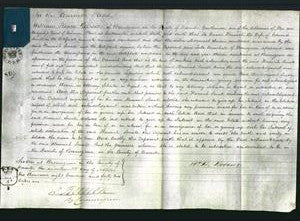 Court of Common Pleas - Hannah Small-Original Ancestry