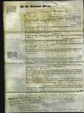 Court of Common Pleas - Ann Rutland-Original Ancestry