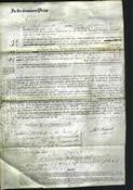 Court of Common Pleas - Maria Hicks-Original Ancestry