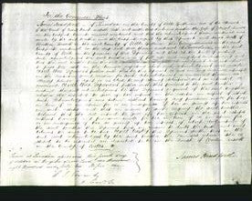 Court of Common Pleas - Martha Tanner-Original Ancestry