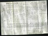 Deed by Married Women - Julia Branwhite-Original Ancestry