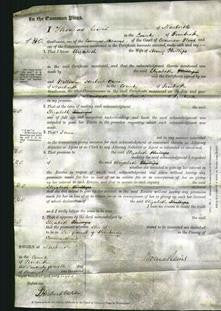 Court of Common Pleas - Elizabeth Phillips-Original Ancestry